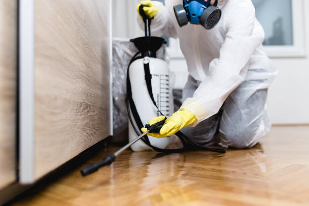 Best Pest Control for Restaurants  in Fairfax, OK