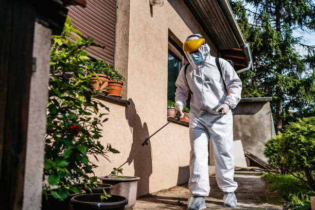 Best Pest Inspection Near Me  in Fairfax, OK