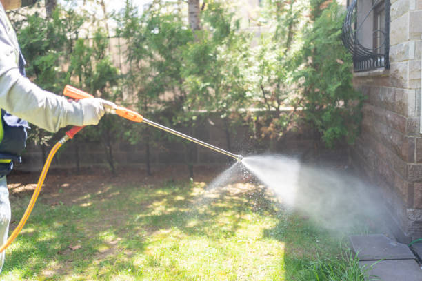 Best Rat Extermination Near Me  in Fairfax, OK