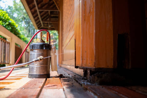 Best Mosquito Control Services  in Fairfax, OK