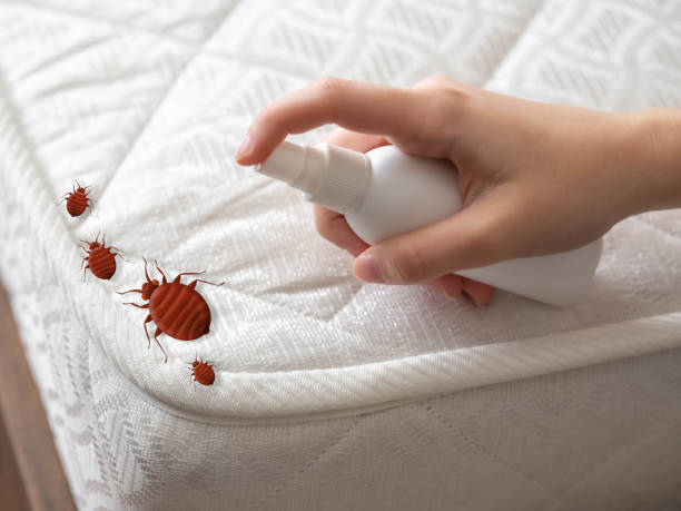 Pest Control Cost in Fairfax, OK